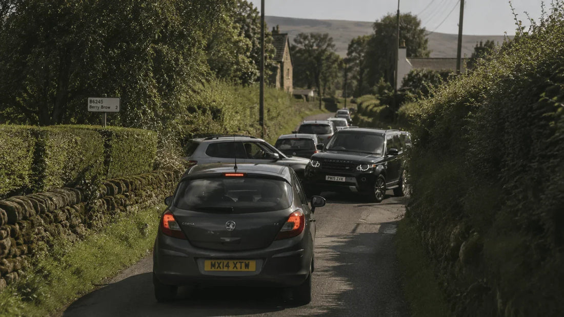 The Selfish Driver