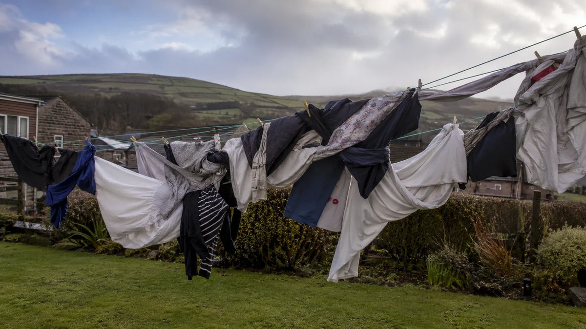 The Washing Line