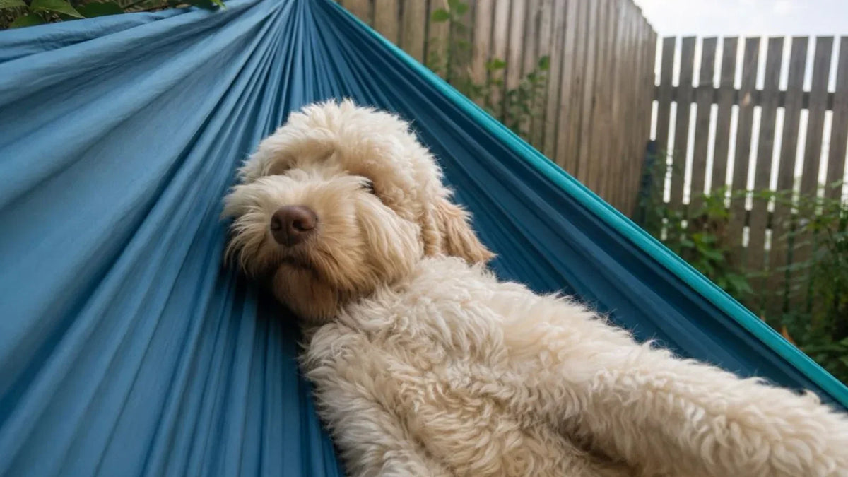 Waiting for Daddy
