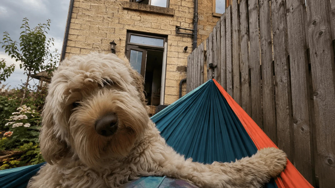 Waiting for Rain