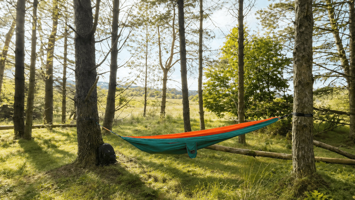 Orange and teal hammock hanging between trees in a sunlit woodland.